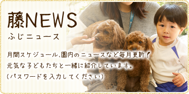 藤NEWS